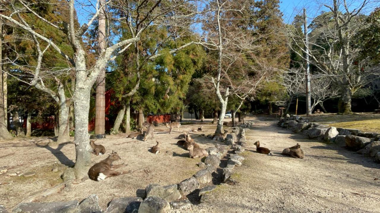 Miyajima Morinoyado Hotel Хатсукаичи Екстериор снимка