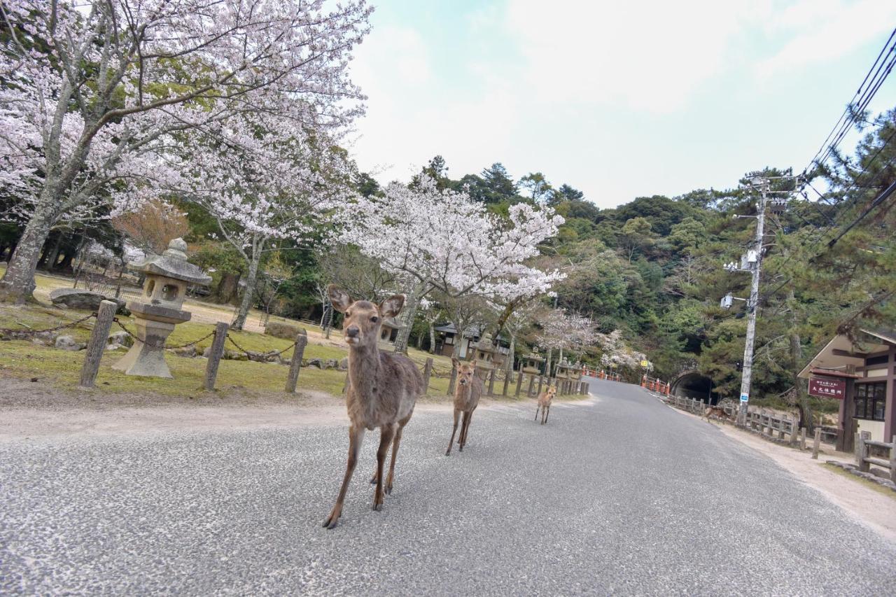 Miyajima Morinoyado Hotel Хатсукаичи Екстериор снимка
